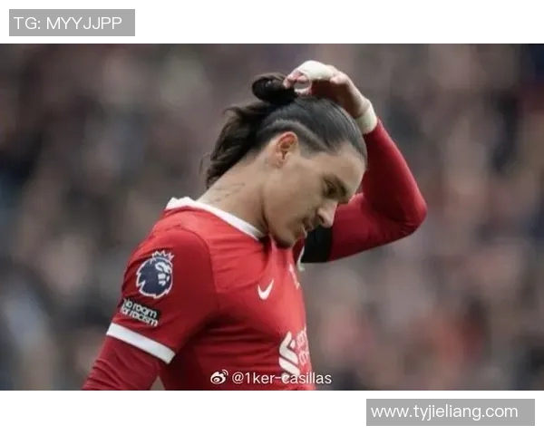 努涅斯在赛场上的崛起与挑战解析,未来能否成为足坛新星的关键时刻 努涅斯在赛场上的崛起与挑战解析,未来能否成为足坛新星的关键时刻