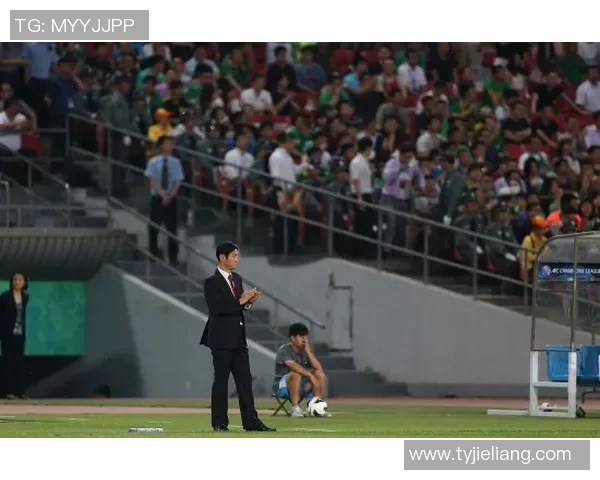 首尔与国安精彩对决完整视频回放及赛后分析分享