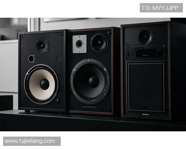 伯顿功放VS6评测：音质表现与功能对比分析，谁才是音响界的王者